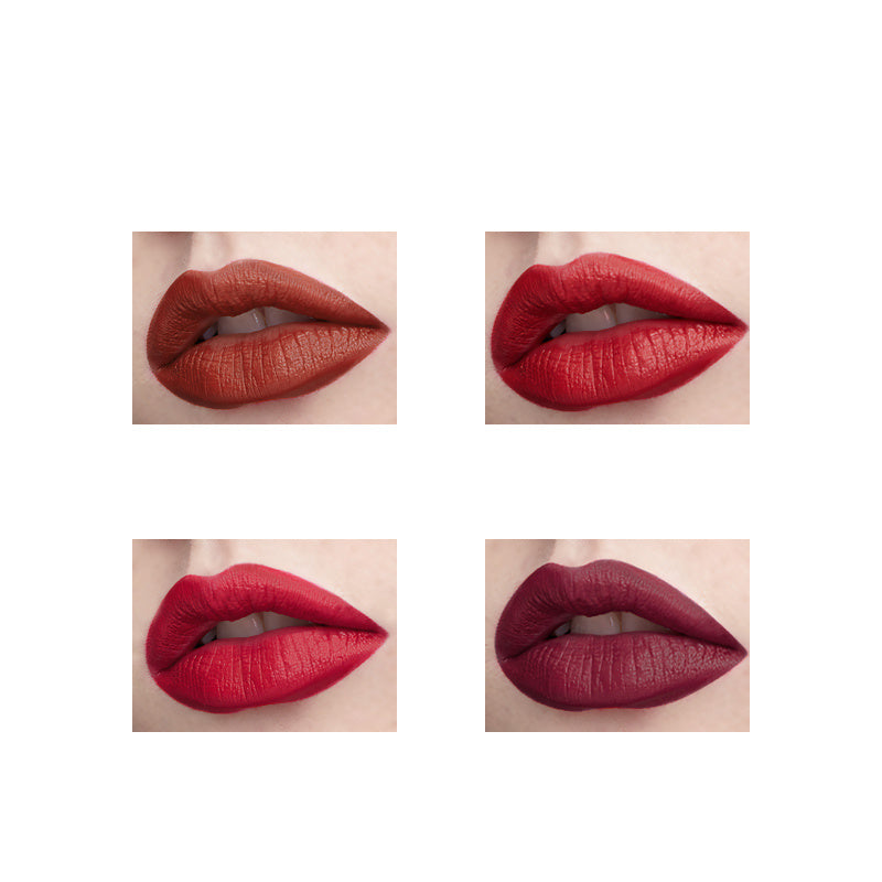 Professional Matte Lipstick